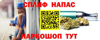 прущие грибы Лесосибирск