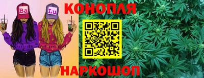 прущие грибы Лесосибирск
