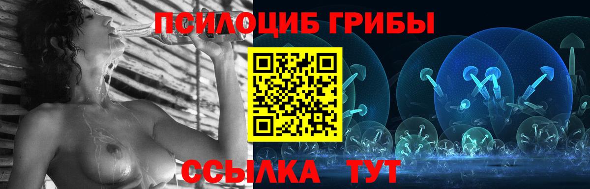 Псилоцибиновые грибы прущие грибы Ейск